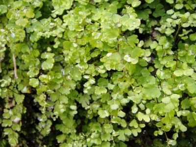2010-4-11 145.jpg