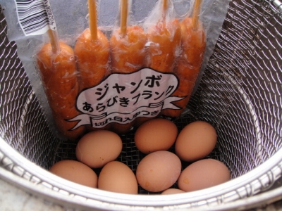 2010-4-11 156.jpg