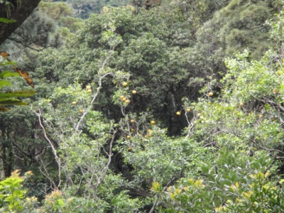 2010-4-11 205.jpg