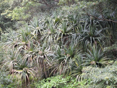 2010-4-11 206.jpg