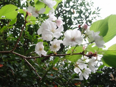 2010-4-11 212.jpg