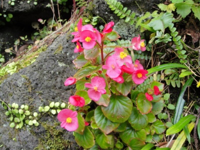 2010-4-11 213.jpg