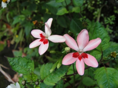 2010-4-11 214.jpg