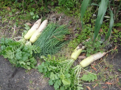 2010-4-11 230.jpg