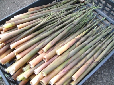 2010-4-14 090.jpg