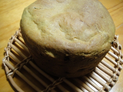 2010-4-14 093.jpg