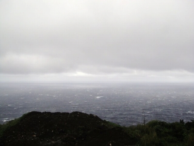 2010-4-16 001.jpg