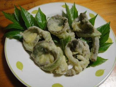 2010-4-18 027.jpg