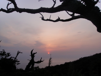 2010-4-19 005.jpg