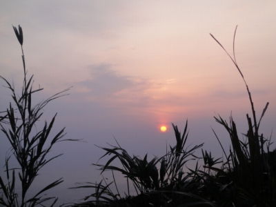 2010-4-19 009.jpg