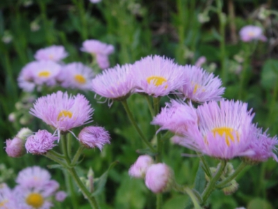 2010-4-19 011.jpg