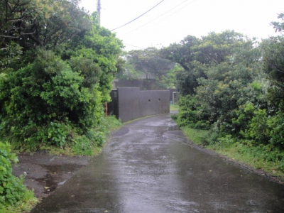 2010-4-20 011.jpg