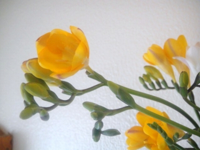 2010-4-4 019.jpg