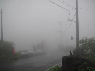 2010-5-11 003.jpg