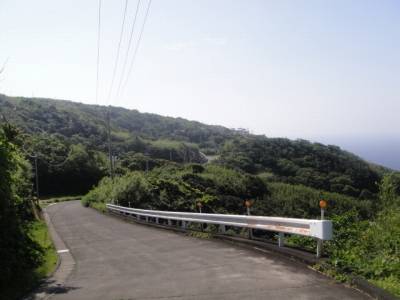 2010-5-12 007.jpg