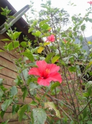 2010-5-3 029.jpg
