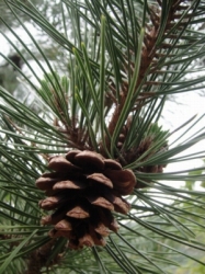 2010-5-3 032.jpg