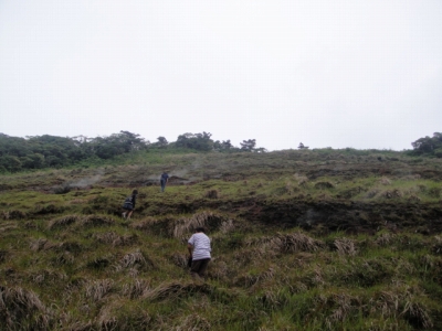 2010-5-3 039.jpg