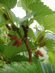 2010-5-3 057.jpg