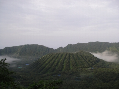 2010-5-9 001.jpg