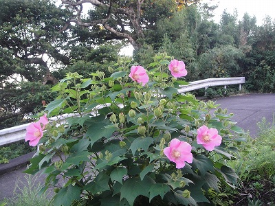2010-8-30 016.jpg