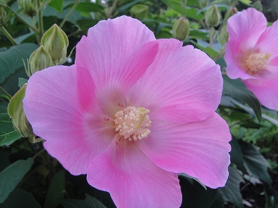 2010-8-30 021.jpg