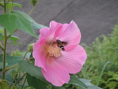 2010-8-30 027.jpg