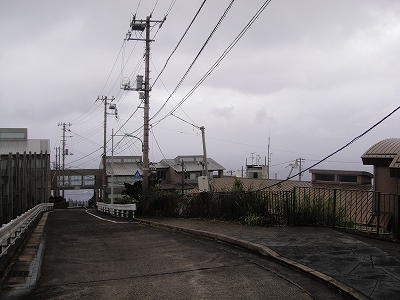 2010-9-25 001.jpg