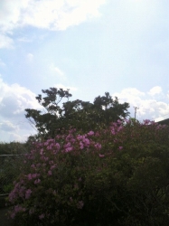 2010032909250001.jpg