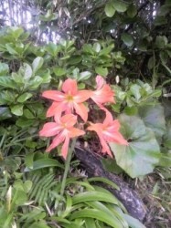 2010050517190000.jpg