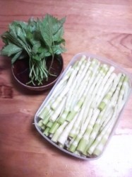2010050518030000.jpg