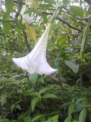 2010050715080000.jpg