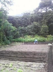 2010050716460000.jpg