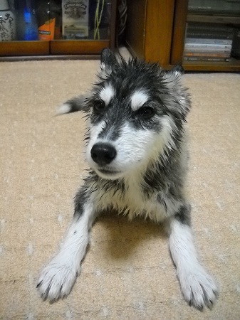 2011-12-11 003.JPG