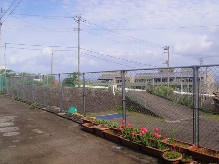 2011-2-27 020.JPG