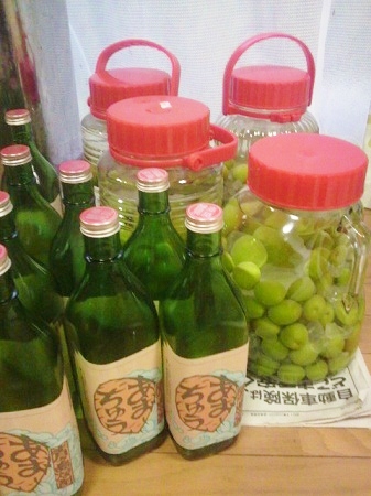2011061116440000.jpg