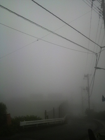 2011061217440000.jpg