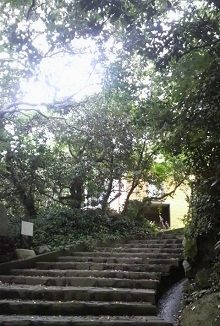 2011080516480000.jpg