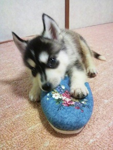 2011102822170001.jpg