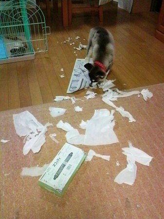 2011113022590002.jpg