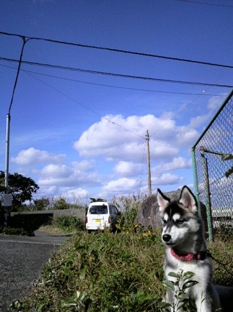 2011122011560000.jpg