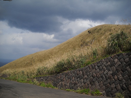 2012-03-12 027.JPG