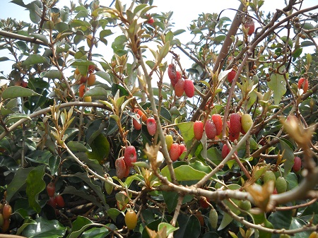 2012-03-20 012.JPG