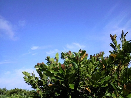2012052507150000.jpg