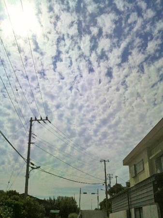 2012052508360000.jpg