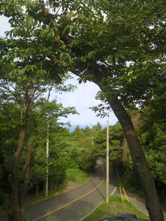 2012072807320000.jpg