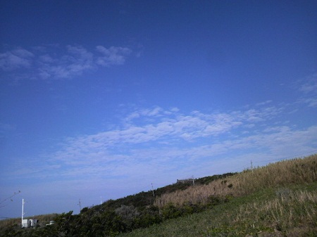 2013020508390000.jpg