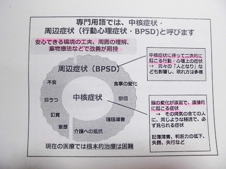 2016.2.22 023.JPG
