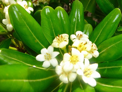 4月 193.jpg