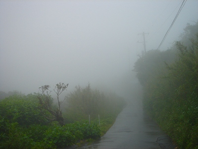 4月 331.jpg